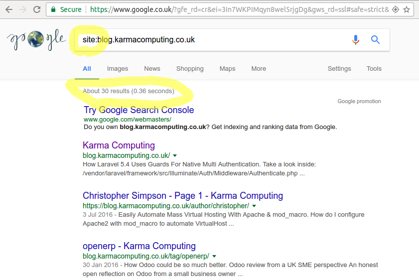 Using Googles site: operator to show listing only for your own website.