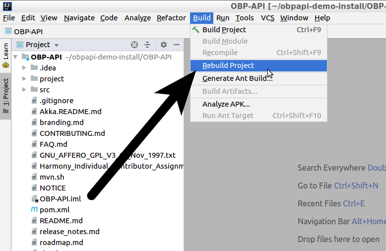 how-to-install-open-banking-api-intelliJ-step-5