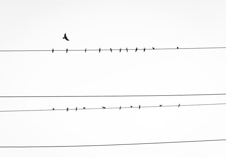 Will broadband work without microfilter?