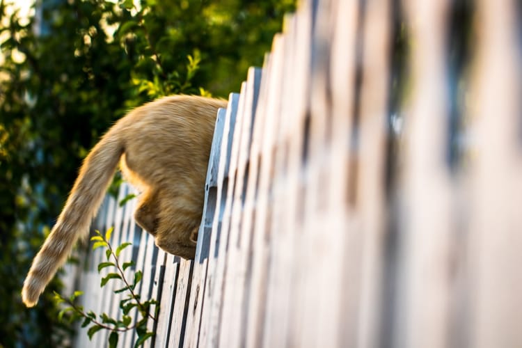 Docker tail -f from the end