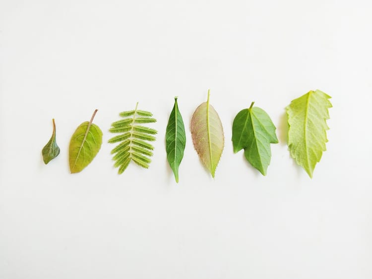 Installing Mongodb Ubuntu 16.04