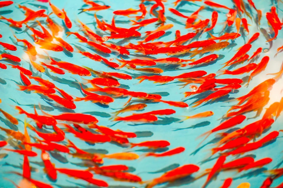 DevOps with physical servers using Redfish Python api